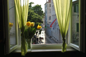  Optimist split/city center  Сплит